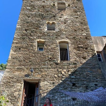 Torra Di Ciocce Bed & Breakfast Pino Luaran gambar